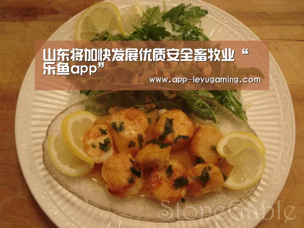 乐鱼app