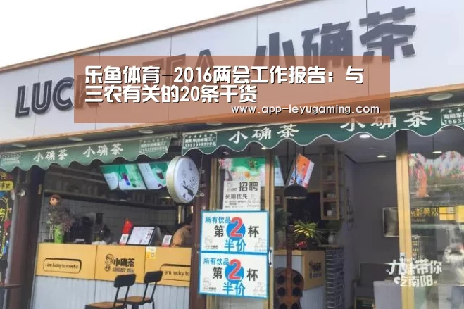 乐鱼体育-2016两会工作报告:与三农有关的20条干货(图3) 乐鱼体育