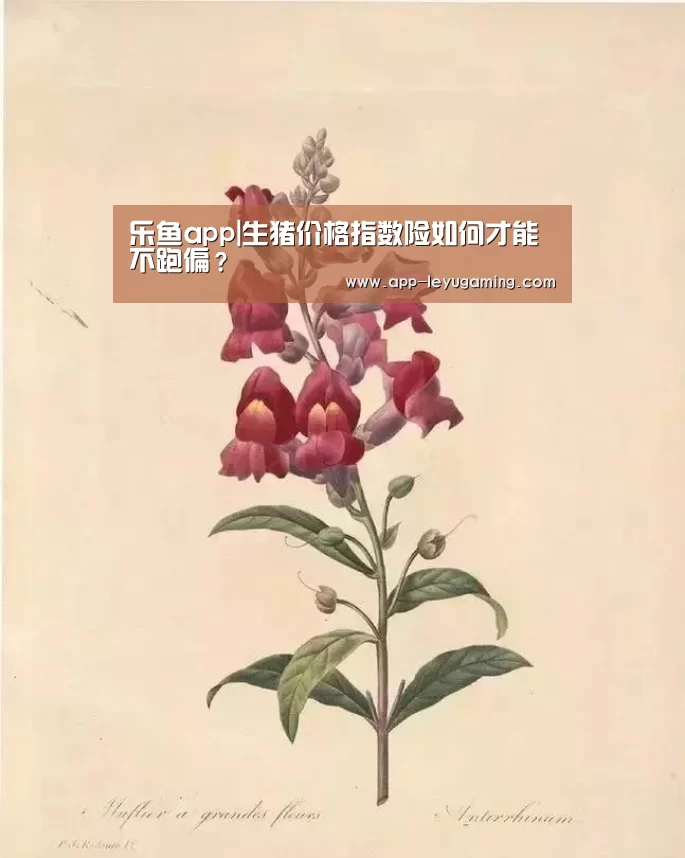 乐鱼体育