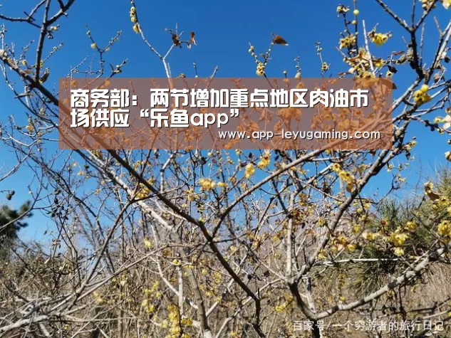 商务部：两节增加重点地区肉油市场供应“乐鱼app”